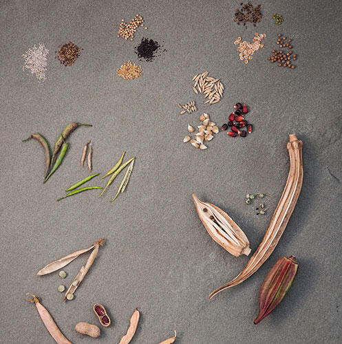 Seed Savers Garden Terms