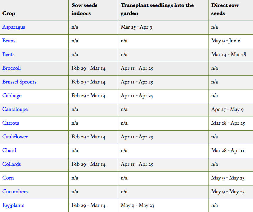 When to Plant Vegetables in Golden, Colorado
